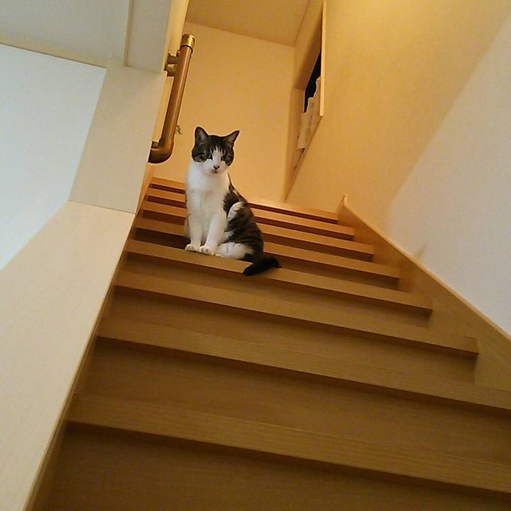 5881d41a 812f 4819 bcc4 bc6535da2e5d