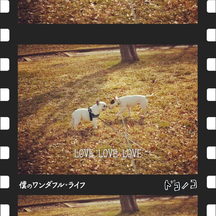 58820e9e 3c51 4ace 84f2 b80c6e98f45b