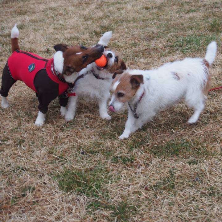 58823b03 8f18 4605 ad38 93613776aa77