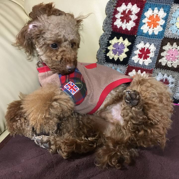 588263f9 f27d 4e15 b47a 1b40fbf07b6a