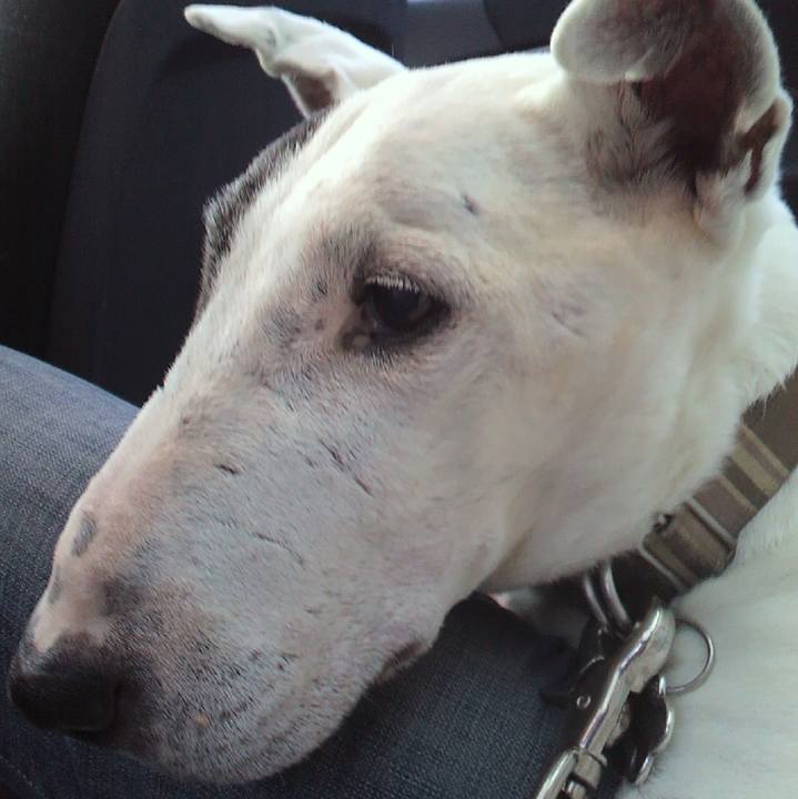 58827239 5fa6 4e5f a49d 6472524bff30