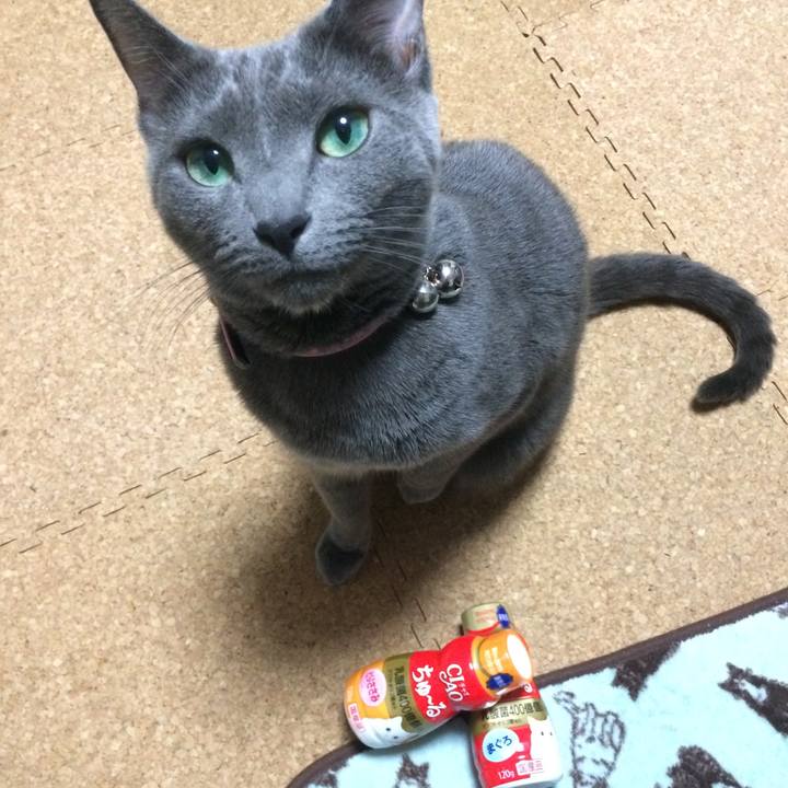 58828abe d56e 4b7a 95b4 f477c7634d7d