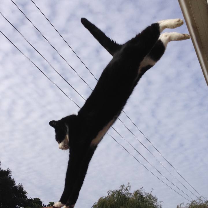 5882b426 a069 4c65 86f4 661c23734273