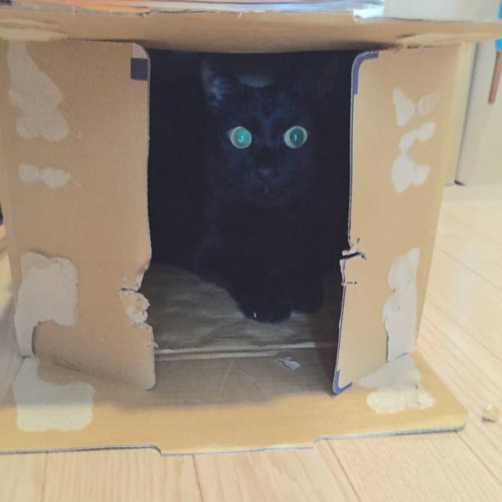 588309d4 a2a2 46ac 9856 2436f768540e