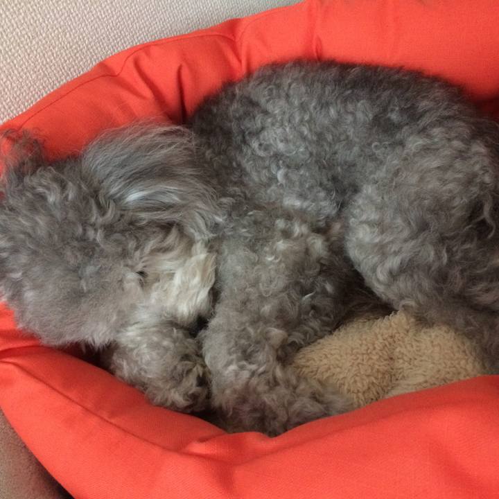 58837487 14db 41c3 9168 265f2f7e3a0d