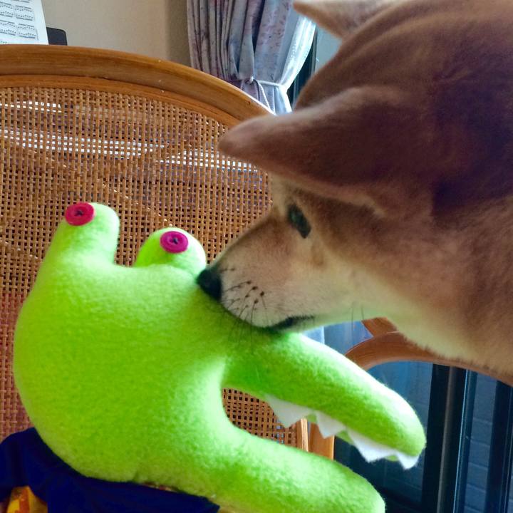 5883bc44 6bea 44fa 8a9f 819e40ce1ad6