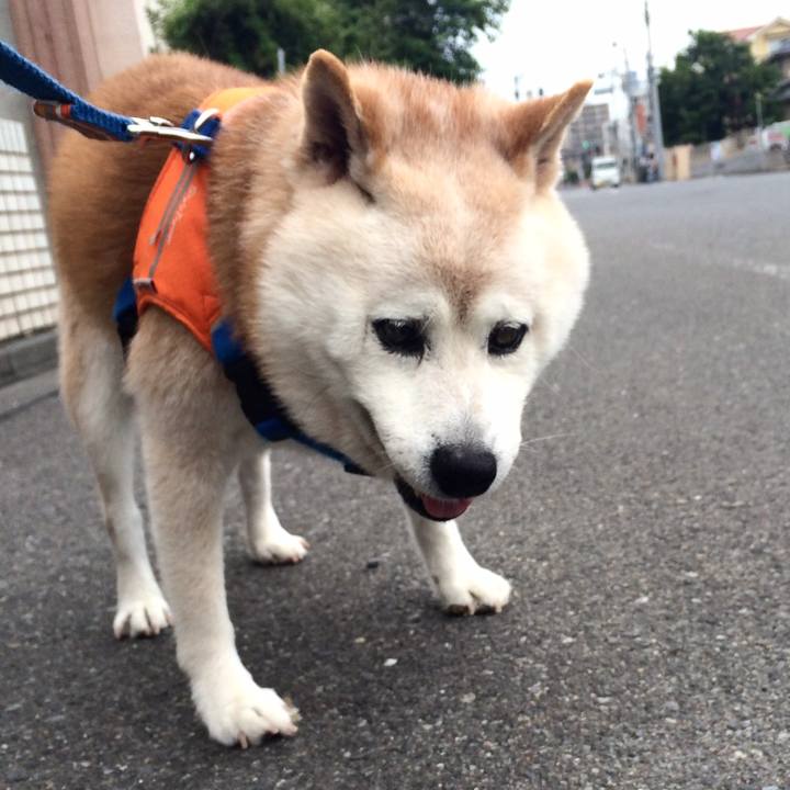 5883d727 c1d2 408c 9733 b41f3e76a667