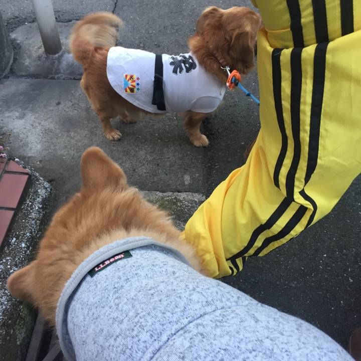 58844461 3eaa 4f4c 92a8 cbba9b5dd253