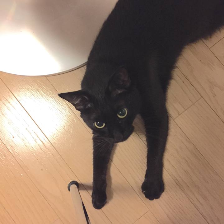 58846eab 3cfc 4090 a1c2 e47d22182c22