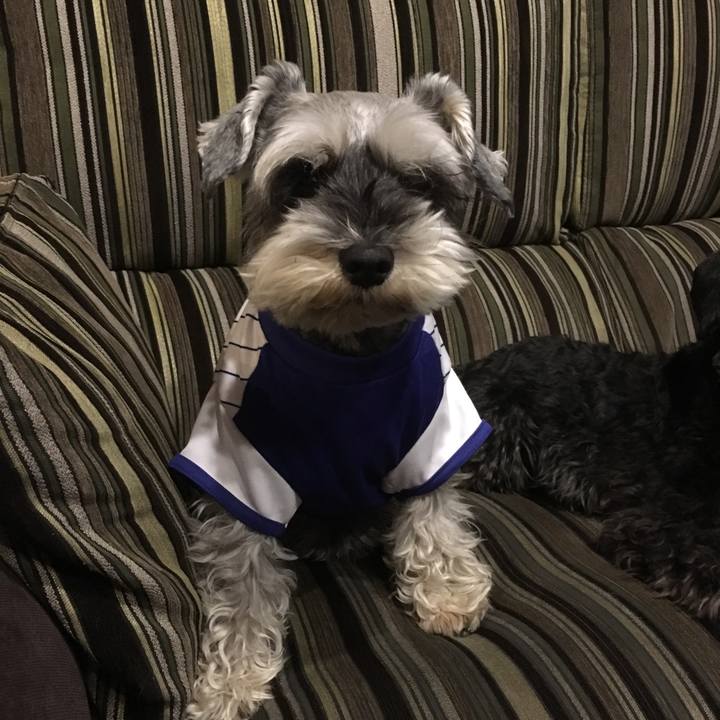 5884e3c1 d735 42be 9098 d11e624fba10