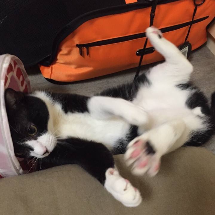 588571f4 c8e3 4027 acfa bed5ccca8da7