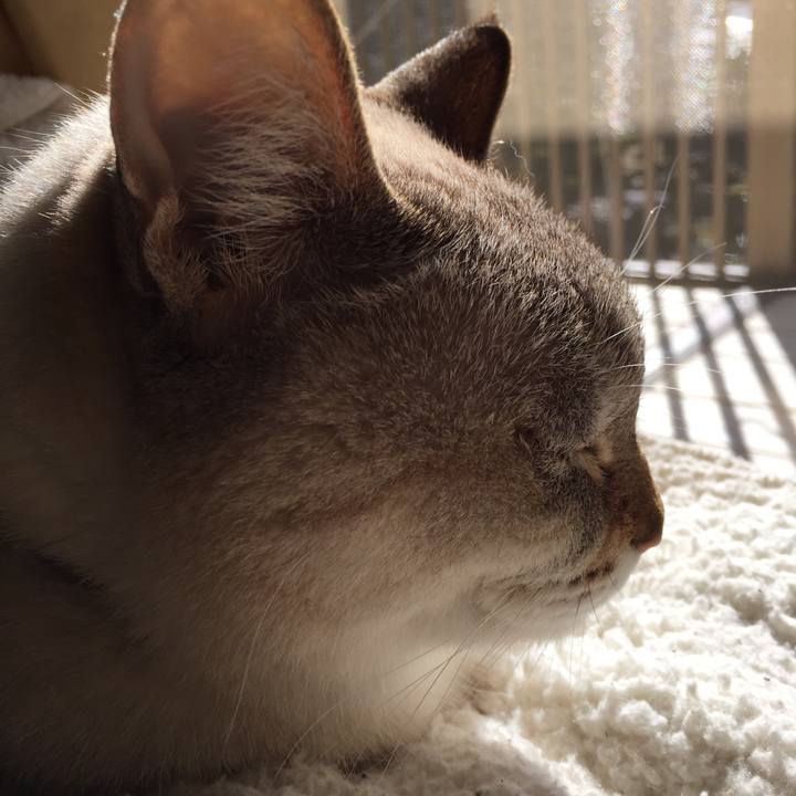 58858357 1c49 4bc3 b2b7 19e2defb192e