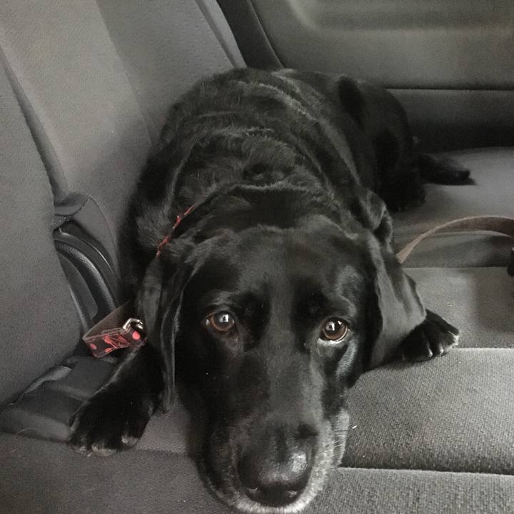 5885a4dd 39a2 424c be3b 70748d3094b3