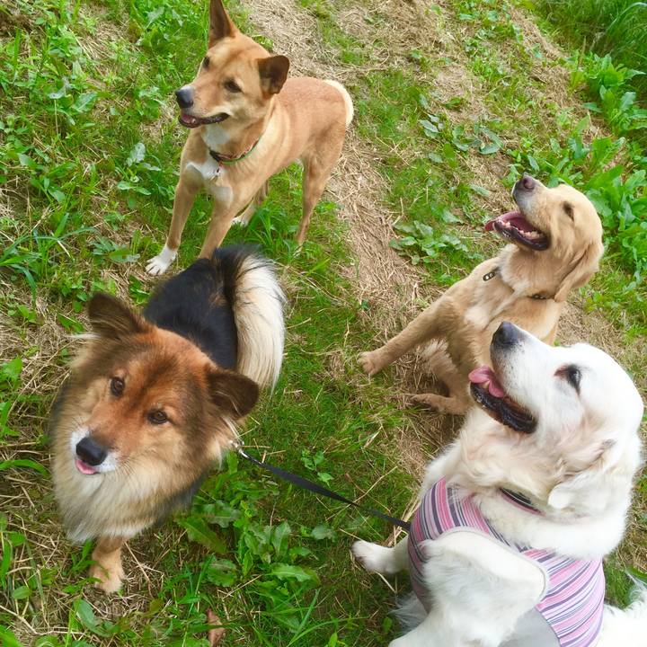 588609bf 608f 4e8f bee7 cf404896b0be