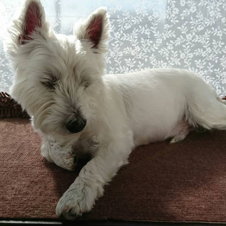 58862f70 fccc 45e5 a438 3204ba1c8bc3