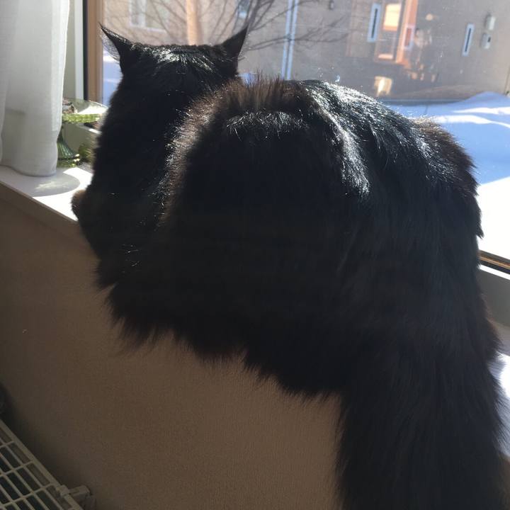 58868c53 549d 40fd aa66 5cf468168e1a