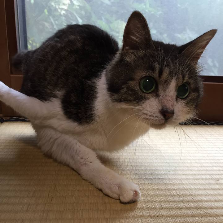 5886dcaa 6e17 442a af2e ebdf03c18de8