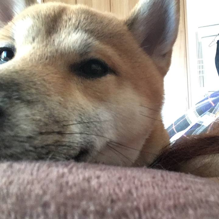 588702e5 9ea5 49e9 acb1 867a369a031f