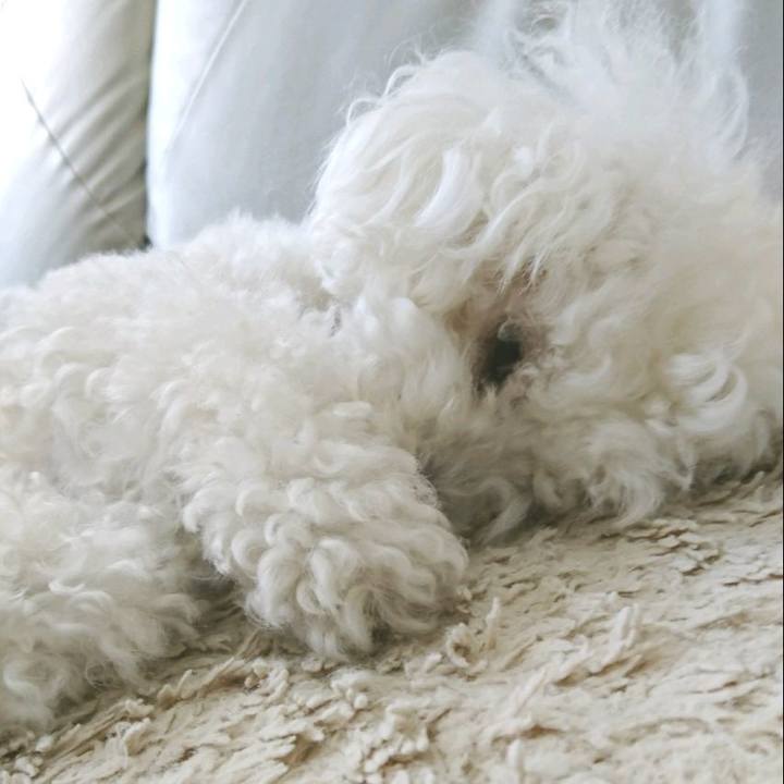 58875a62 bde4 4c49 bc6c 10f1189d7fe3