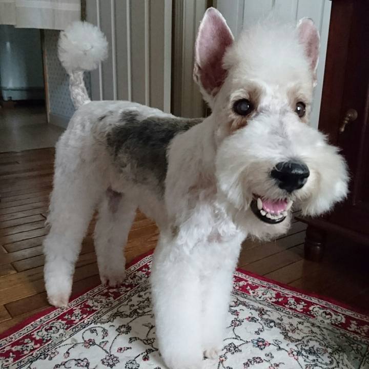 5887793b 65be 4d0e a436 2fb741f87495