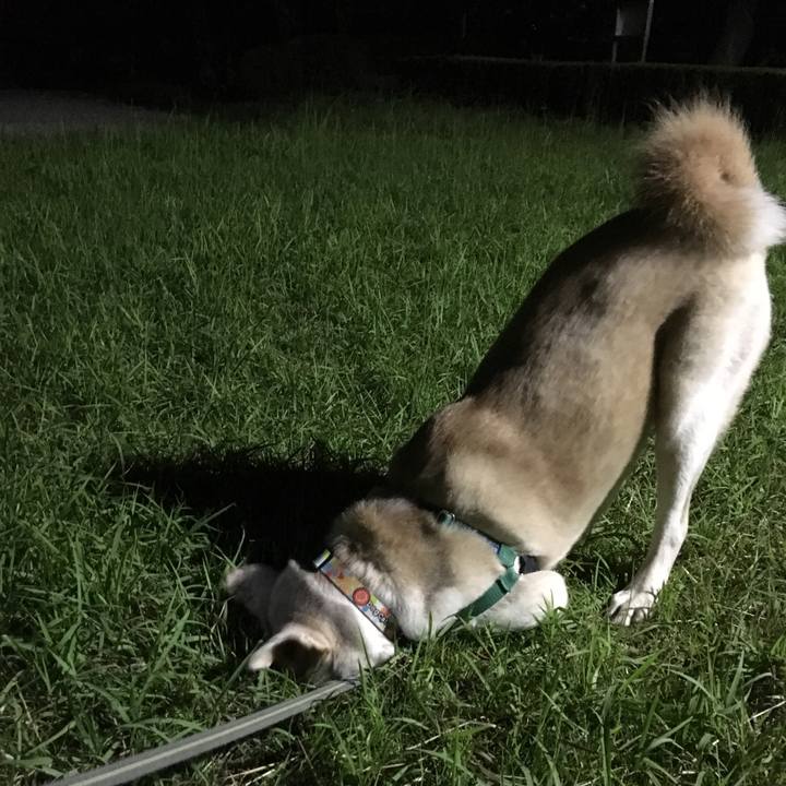 58884d79 4a9a 49fd b1f7 008ccef96bd6