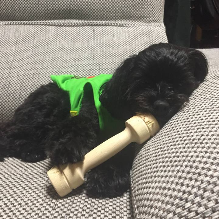 588860f1 cc95 4eab 9de3 5fcb3be06a1b