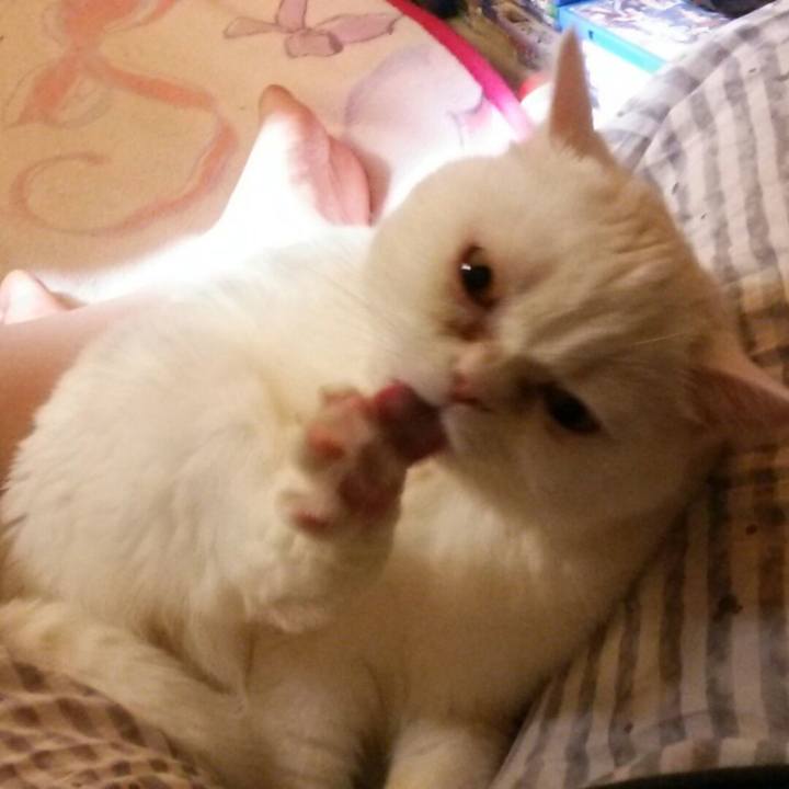 58886fec 257d 424b a808 8166af335b6b