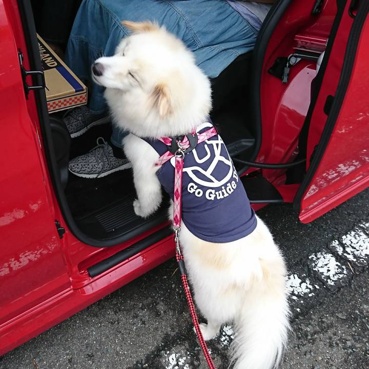 58893aec 0831 438a 9706 92e23075c8d8