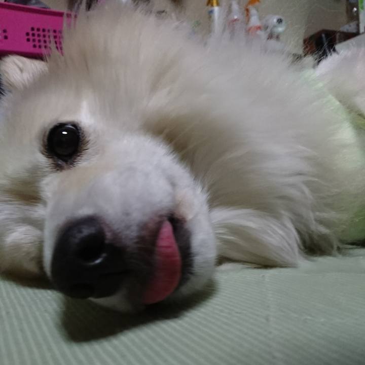 58897c0a 6908 4129 9ea3 c175d94b744d