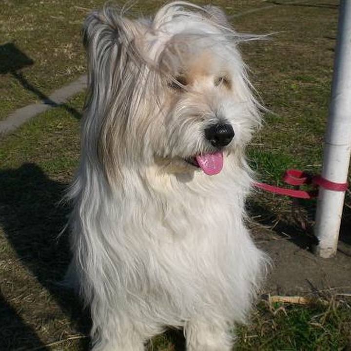 588a3d89 ea8b 4945 96a2 b7048c14b13f