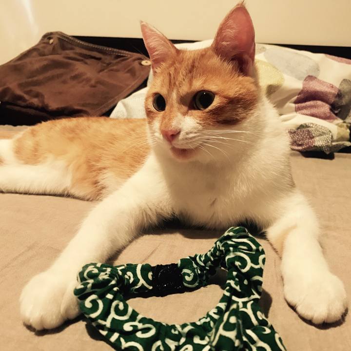 588a3ed9 7087 4868 937e 66bc30f5e623