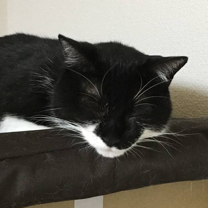 588aa56b 6f10 44aa 8b8d a79cf51fc4c6