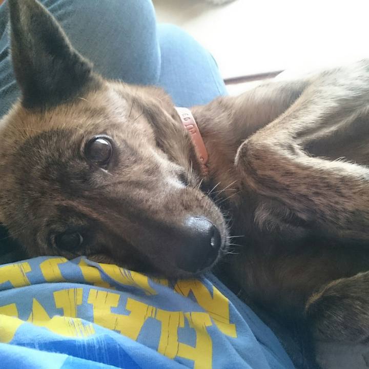 588aa697 fb67 4657 9b2e 58c7abd280e9