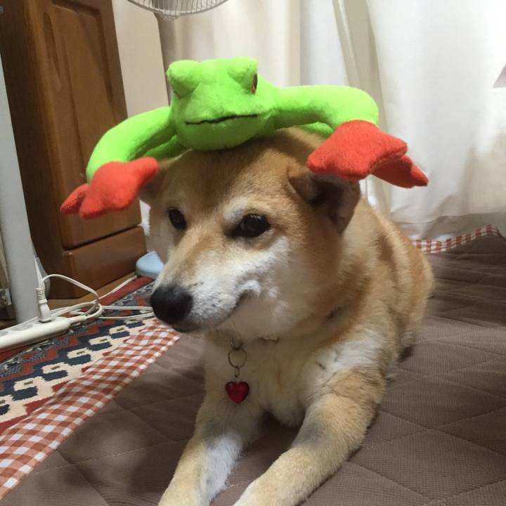 588ab3ee b7d9 4898 bfff 30e3b9464771