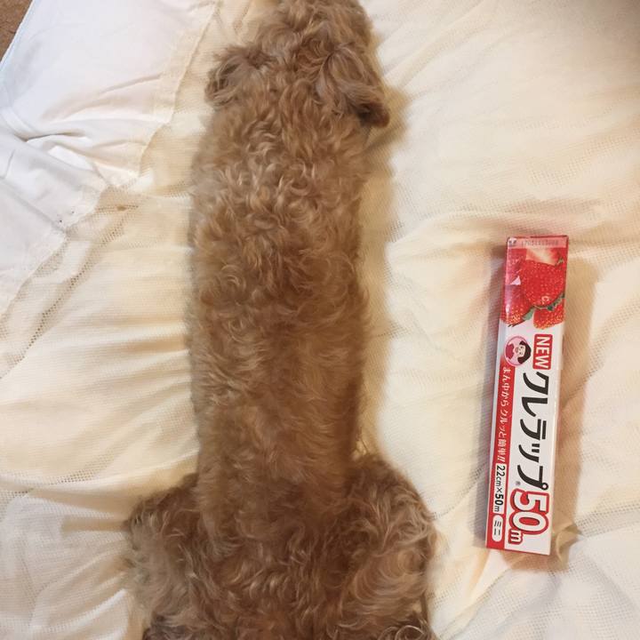 588ad43e d1f2 4bb7 b7eb 301746b33938