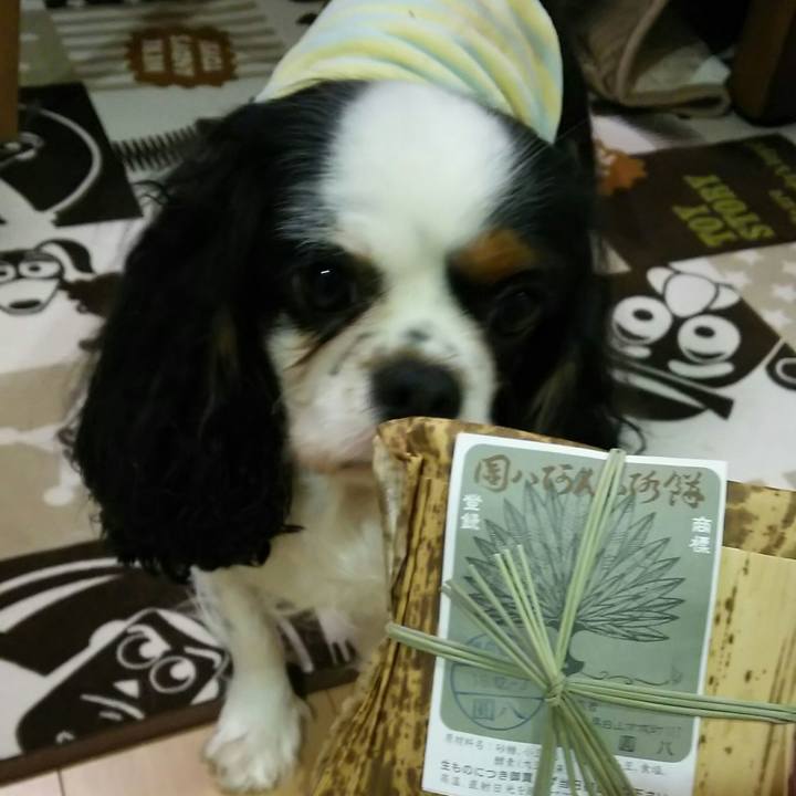 588ad901 88d6 4b07 a0b9 b40f0ebbf635