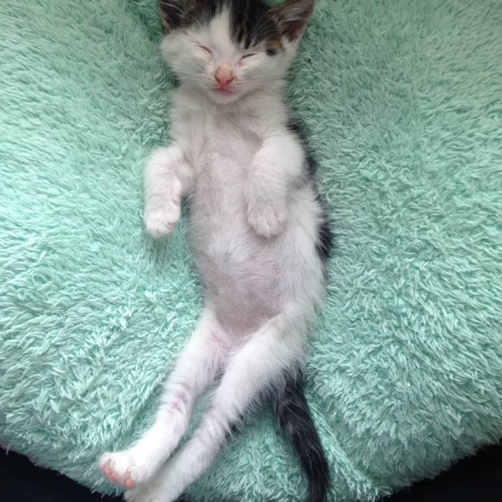 588b2372 a2dd 490a b8ea 610a9157e2d3