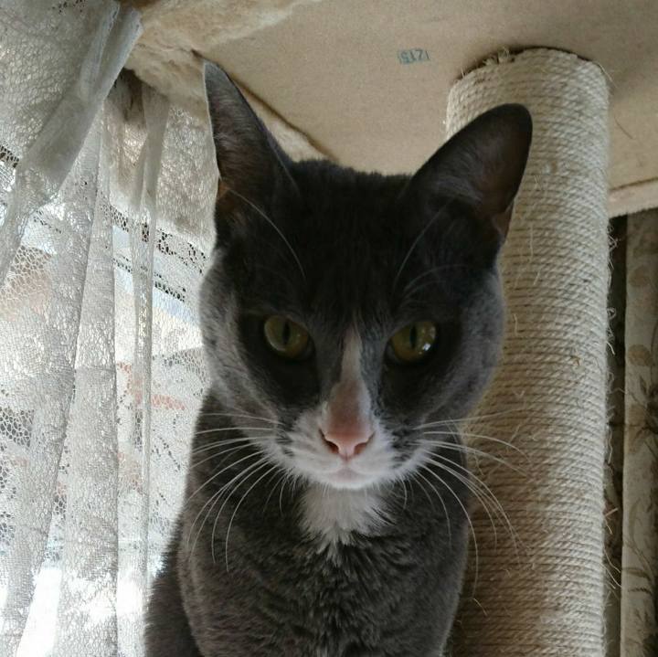 588c2e0d 3a39 4c21 adc1 aa4d4b545c11