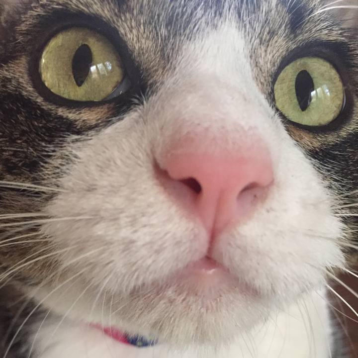 588c5c26 f789 4a03 a213 8e6f44c08f4c