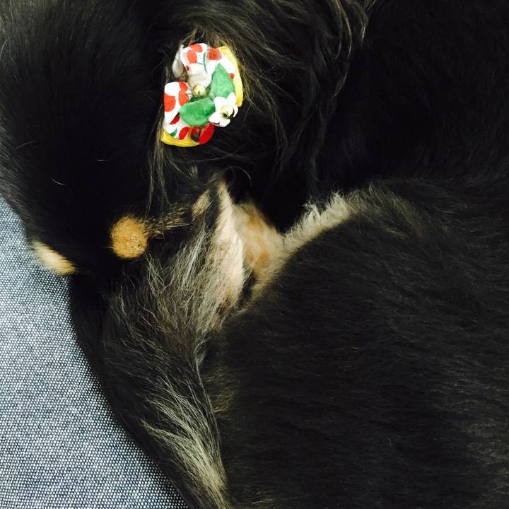 588c6001 4dd3 4962 bed8 2caba6d8d432