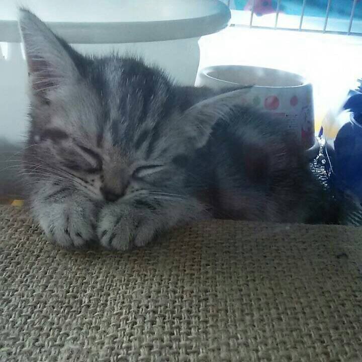 588c7a04 9542 43fa 9867 564b62016ade