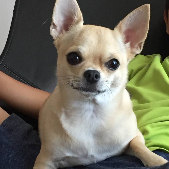 588c9f3e 6b03 435c bb1c 806f3b28034b