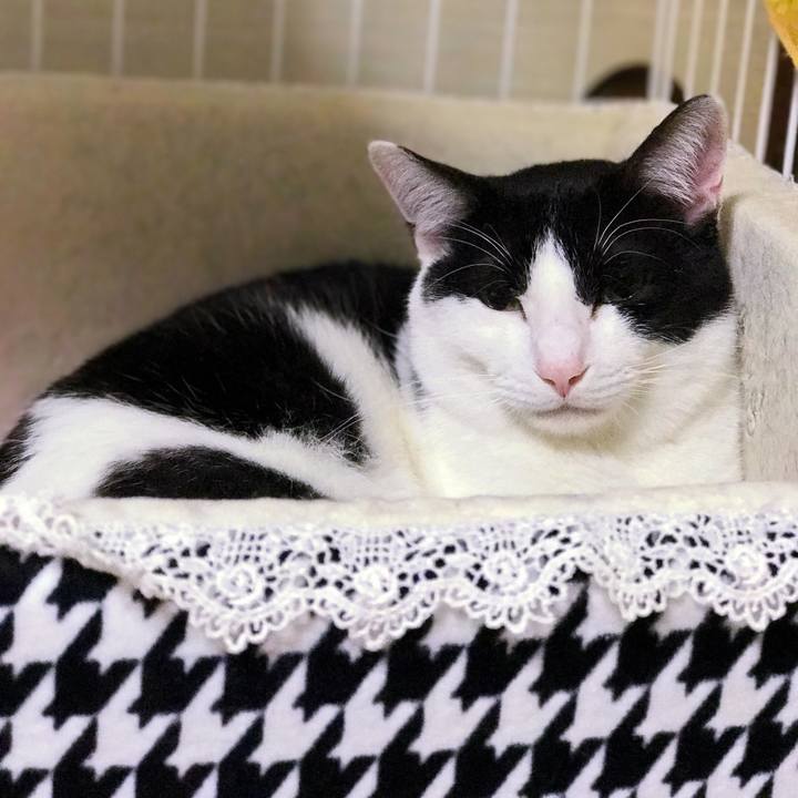 588d73e8 ca2e 4a87 82b2 91fca1b6eb59