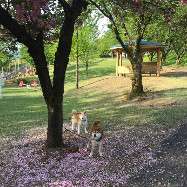 588e0276 f01f 466c 983d ccbe820b0c51