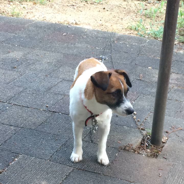 588e49da a4ce 43be 9f42 d9817e75b397