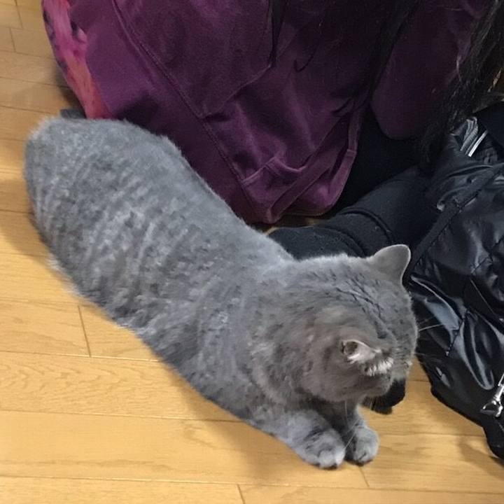 588e4e34 d379 4d45 9e26 608d1c7417be