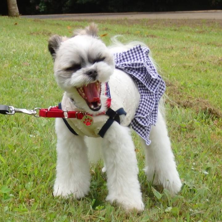 588e5a23 46bb 4cea a7b8 f135c49c4093