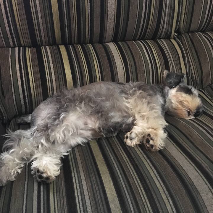 589089d7 6594 49a5 9237 9e589fda4da5