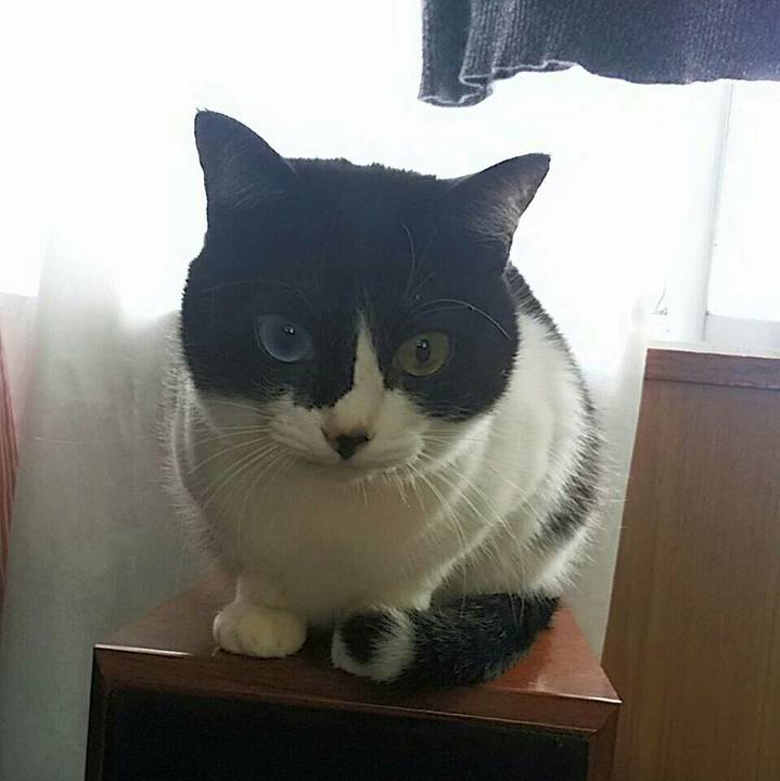 5890b3e2 81e1 4356 8ad7 6c2605a4f9b4