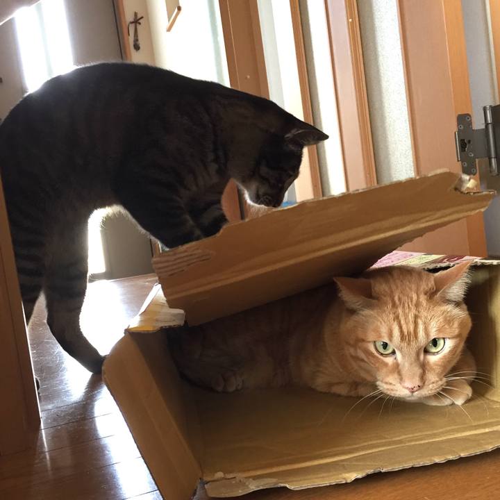 5890c6c1 8681 4694 9958 a4466dda2a7f